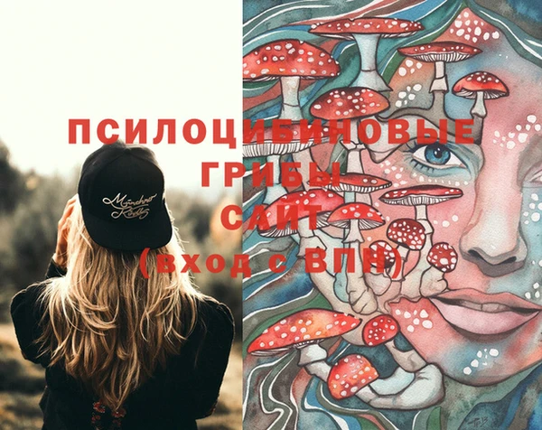 молекула духа Абдулино