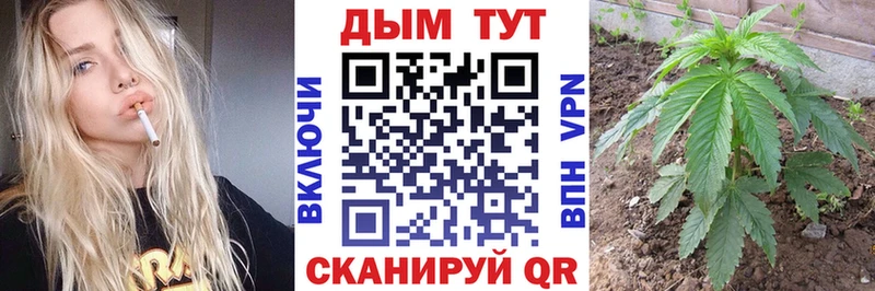Каннабис OG Kush  Серафимович 